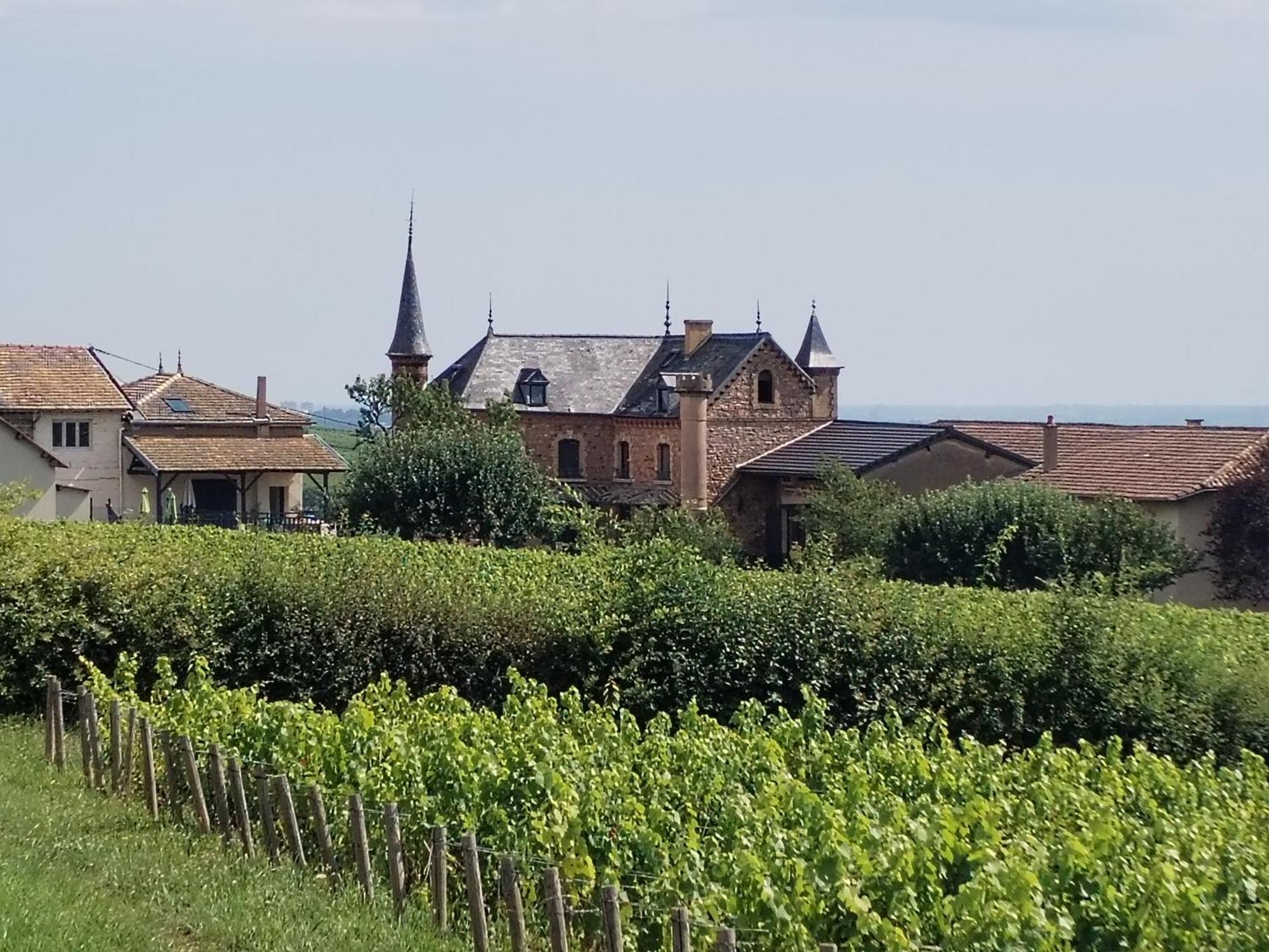 Le Petit Chateau De Sathonat - Horizon Paradis Saint-Amour-Bellevue Eksteriør bilde